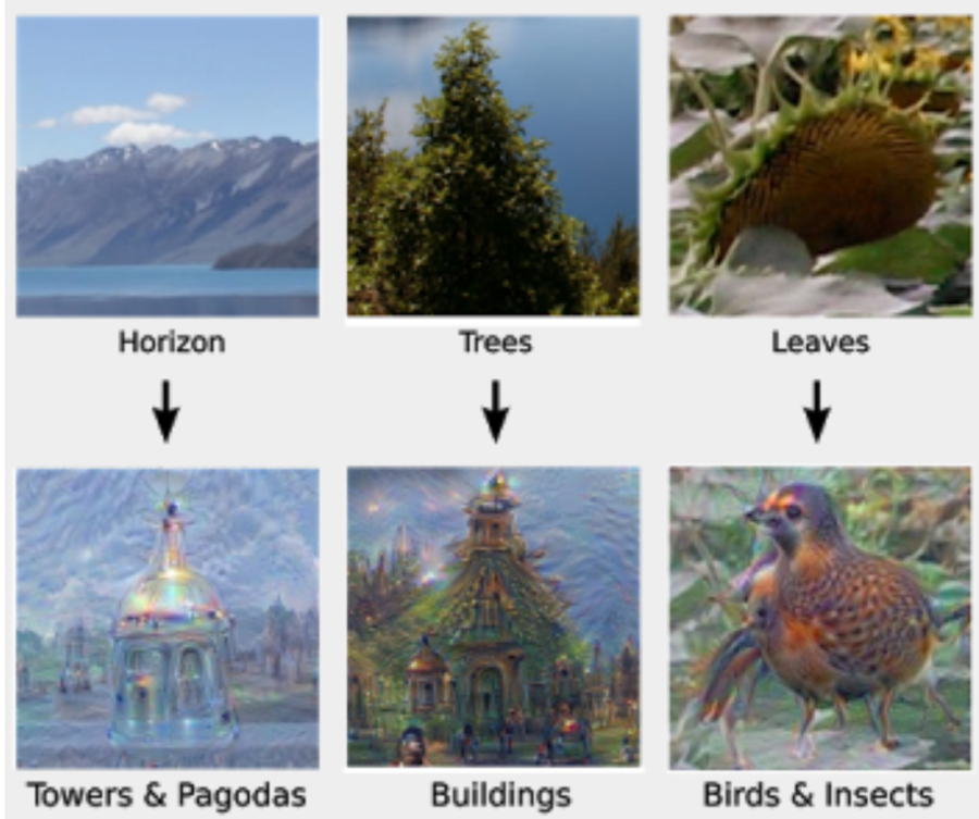 Screen Shot 2017-10-18 at 11.57.07 AM